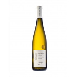 RIESLING BERG DOMAINE MELANIE PFISTER 2019