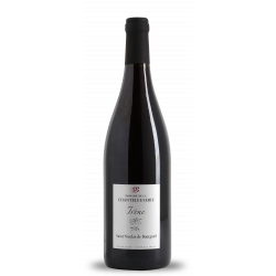 SAINT NICOLAS DE BOURGUEIL DOMAINE DE LA CHANTELEUSERIE - IRENE