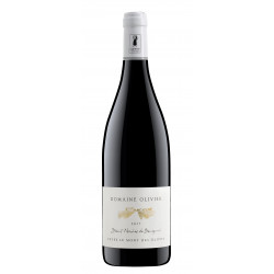 SAINT NICOLAS DE BOURGUEIL DOMAINE OLIVIER CUVEE DU MONT DES OLIVIER 2020