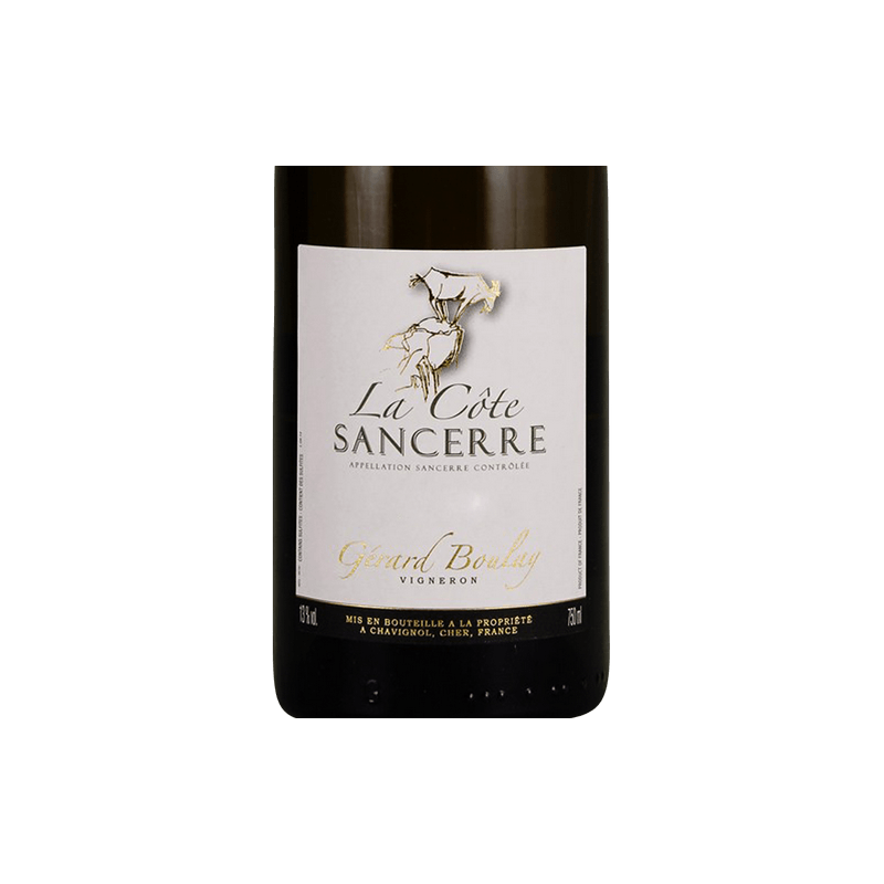 SANCERRE DOMAINE GERARD BOULAY - LA COTE 2019