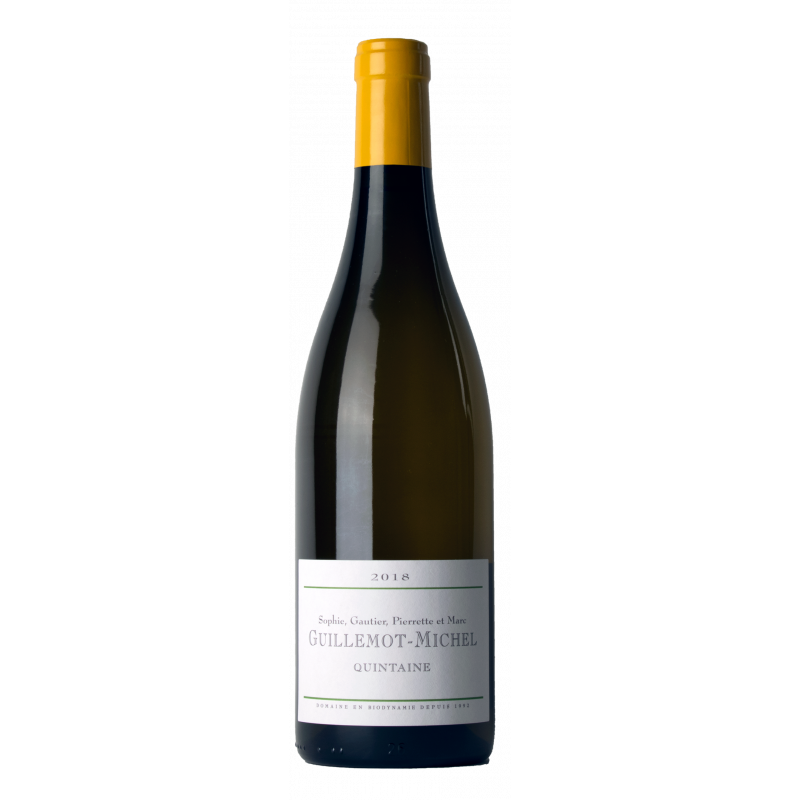 BOURGOGNE COTES D'AUXERRE DOMAINE D'EDOUARD BLANC MAGNUM