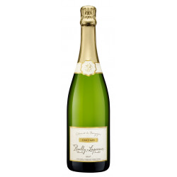 CREMANT DE BOURGOGNE INATTENDU BRUT