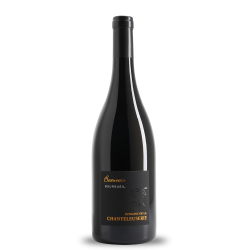 BOURGUEIL DOMAINE DE LA CHANTELEUSERIE - BEAUVAIS 2020