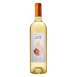 GASCOGNE MOELLEUX DOMAINE DE JOY - SAINT ANDRE 2021