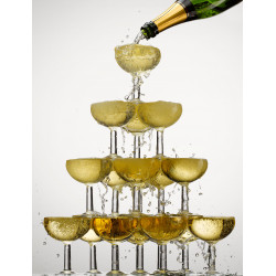 CHAMPAGNE DRAPPIER BLANC DE BLANCS